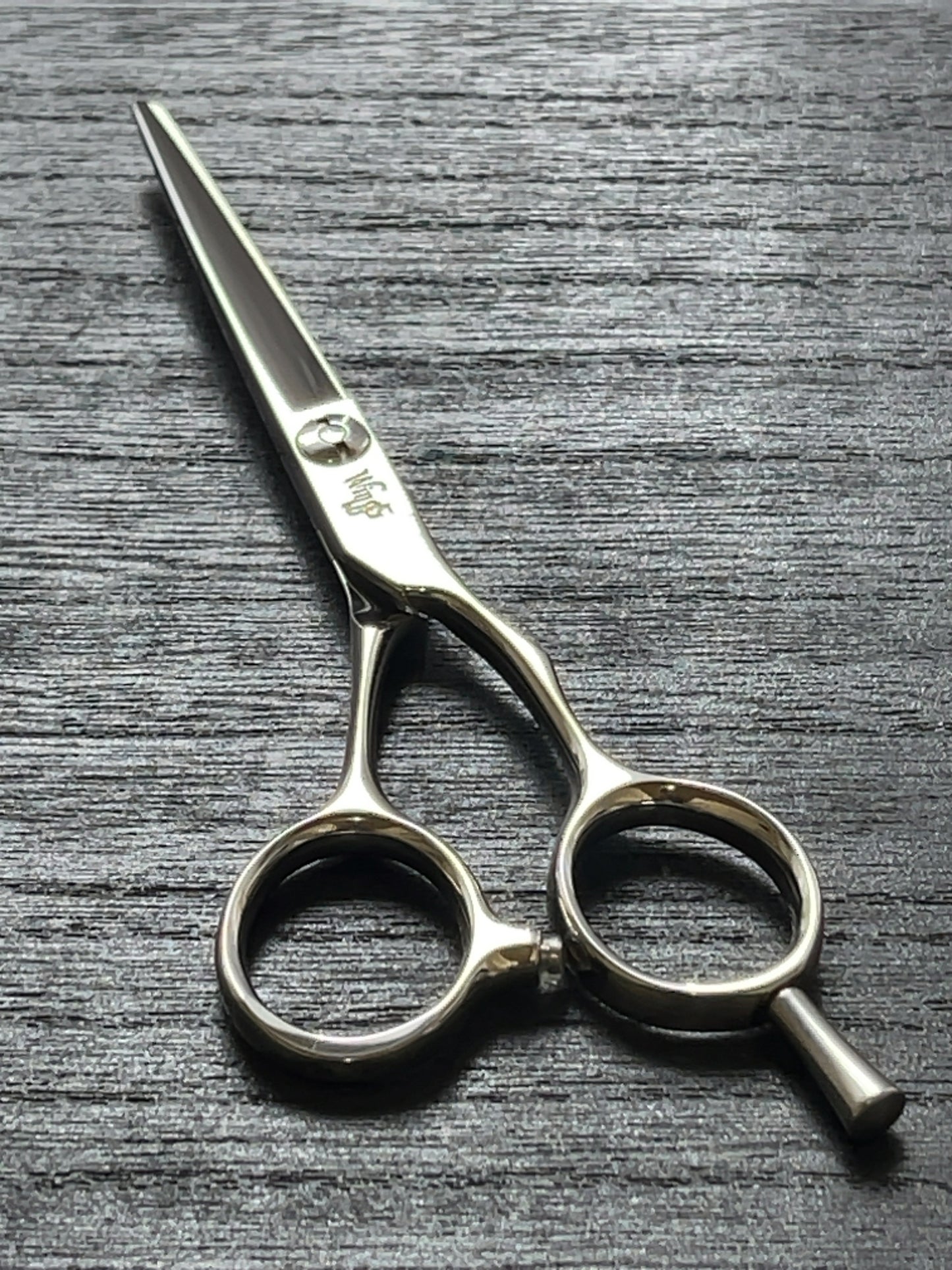 Wings Custom Shop Silver