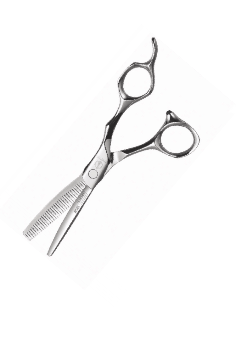 Mizutani Hairdressing Scissors Mizutani Schorem Master Thinning