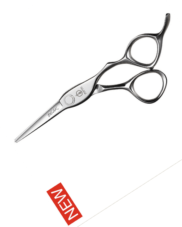 裸のラリーズ 「TWIN SILVER」reissue of MIZUTANI 裸のラリーズ 「TWIN SILVER」reissue of MIZUTANI 裸のラリーズ